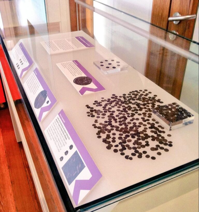 Rossall Hoard on Display at the Harris Museum