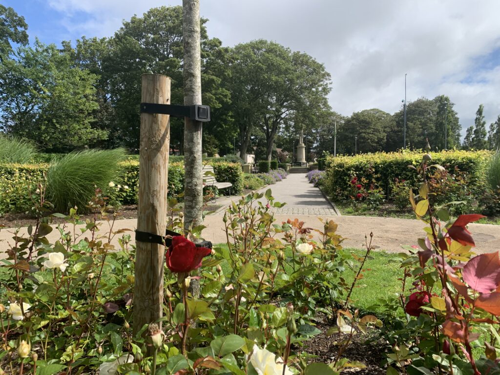 Rose Garden at Memorial Park Fleetwood