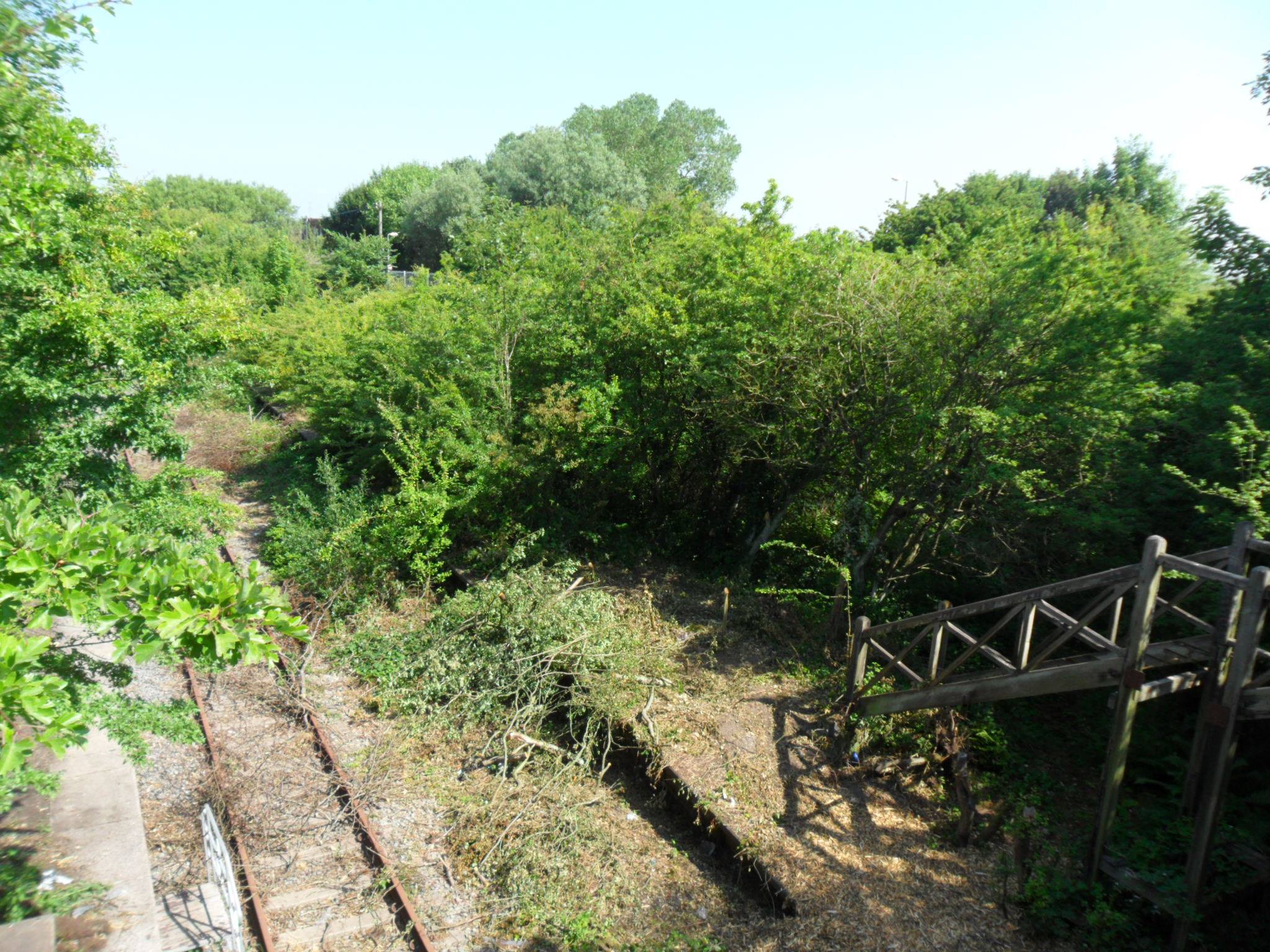 Burn Naze Railway line before clearing work by PWRS