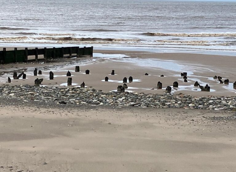 Remains of Fleetwood Beach Landmarks. Photo: Jill Cooke