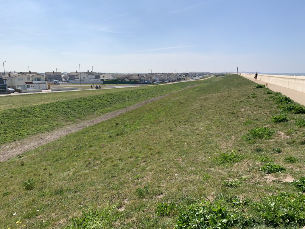 The overflow channel is now a natural ditch